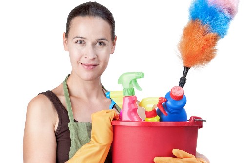 Professional pet stain odour removal for a Westhampstead carpeted home