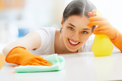 Specialist cleaning of a built-in oven and glass door