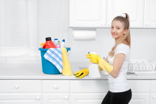 Professional gutter cleaning for flats and homes in West Hampstead