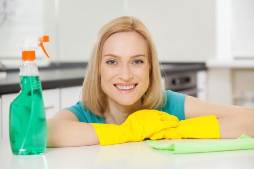 Professional regular cleaning for a flat in West Hampstead with vacuuming and floor care