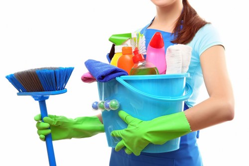 Curtain cleaning treatment for lined and decorative window dressings