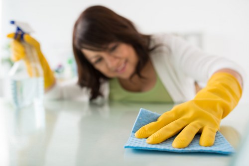 Local stain removal service for a rug and sofa