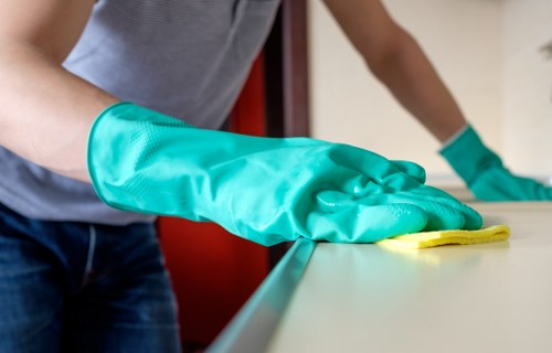 Deep carpet cleaning process suitable for flats and houses in Westhampstead
