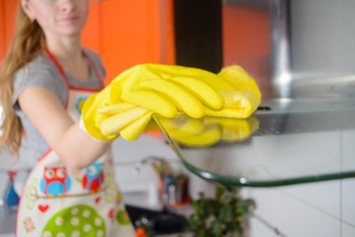 Kitchen and bathroom deep cleaning in a Westhampstead property