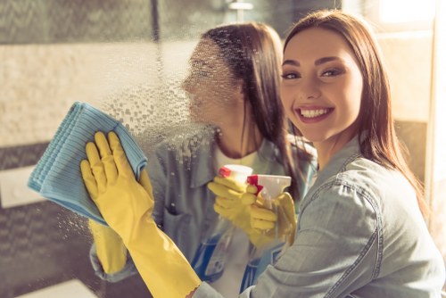Domestic cleaning tasks in a Westhampstead property