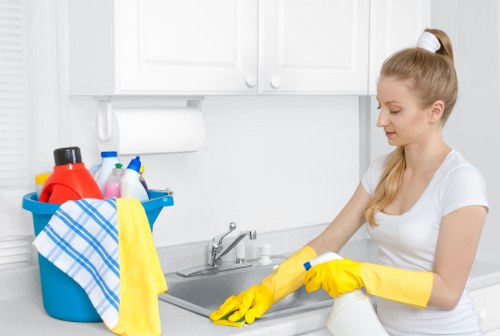 Eco-friendly van used for carpet cleaning service