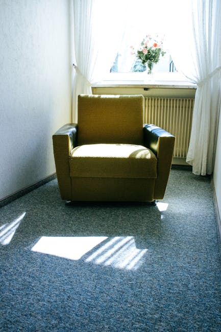 A person wearing black gloves is using a handheld electric scrubber on a dark grey fabric sofa cushion in a living room, indicating surface cleaning and upholstery deep cleaning. The sofa has a modern design with clean, sharp lines and is situated on a wooden floor. On the right side of the image, a small decorative Christmas tree with ornaments is partially visible, suggesting seasonal decoration. The lighting is bright and even, highlighting the cleanliness and condition of the sofa's upholstery. The background features a plain light-colored wall, emphasizing a tidy and hygienic environment suitable for domestic cleaning or upholstery maintenance. This image illustrates the process of upholstery surface cleaning in a residential space, aligning with tips for fabric care on the Fortune Green cleaning tips page for NW6 flats by Carpet Cleaning West Hampstead.